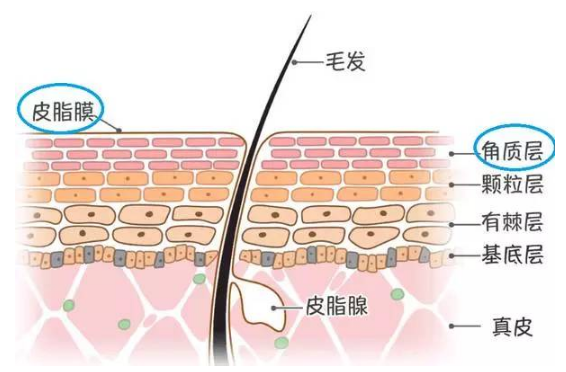 微信图片_20230510210053.png